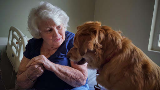 An elderly woman shares a tender moment with her golden retriever, showcasing the bond between humans and pets.