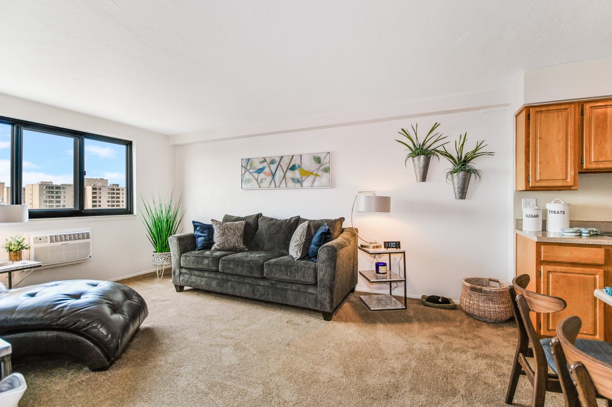 A modern living room with a comfortable sofa, wall art, and decorative plants.