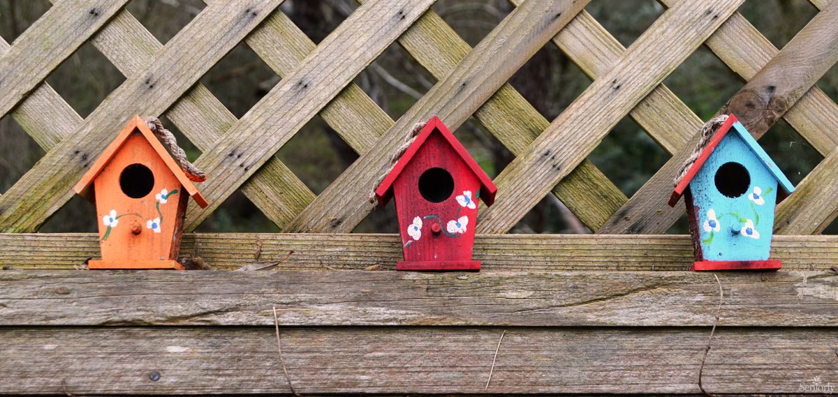 A small red birdhouse with white flower decorations sits against a wooden lattice fence.