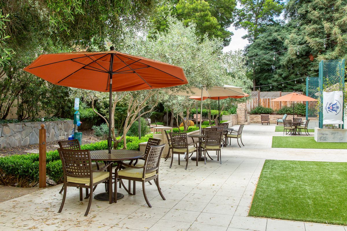 A serene garden patio with tables and umbrellas surrounded by lush greenery.