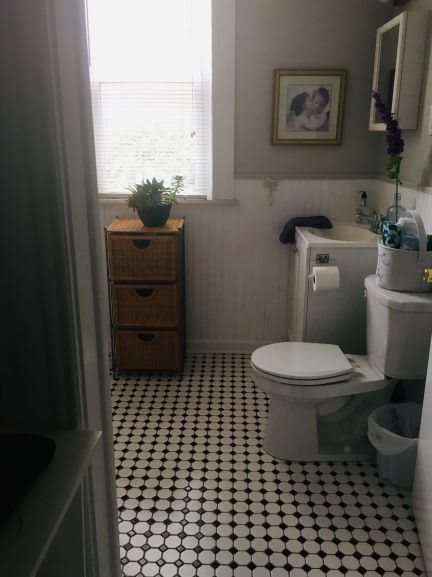 A tidy bathroom with a storage cabinet and a small plant.