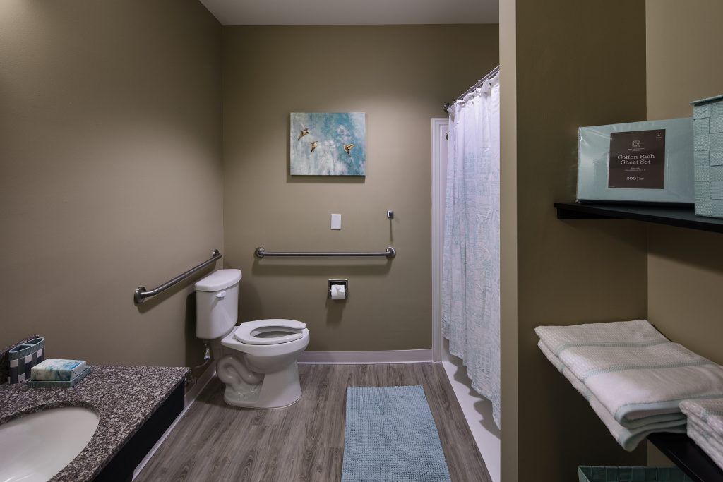 A modern and accessible bathroom with a toilet, shower, and grab bars.
