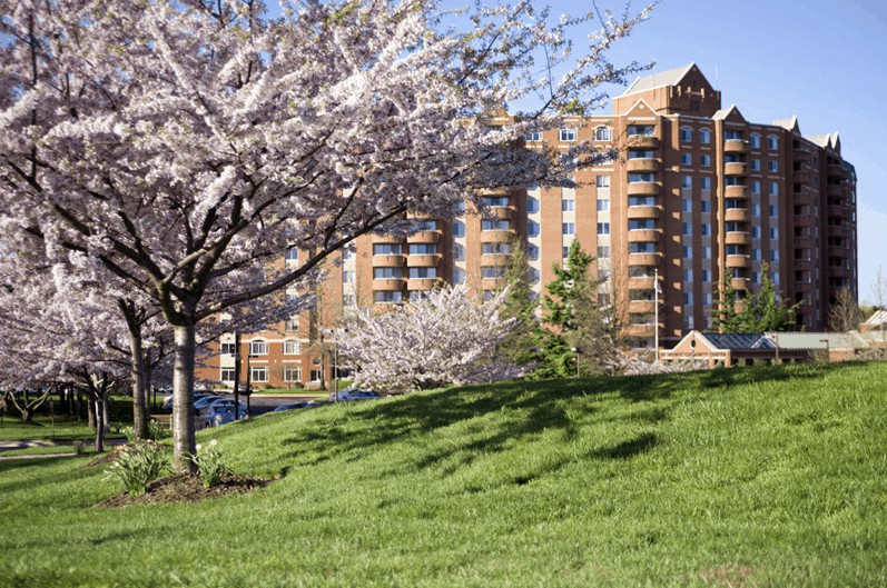 A scenic view of cherry blossom trees in front of a modern building on a bright spring day.