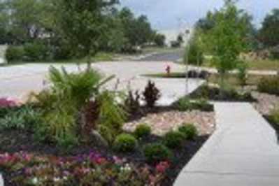 Beautifully landscaped garden alongside a sidewalk.