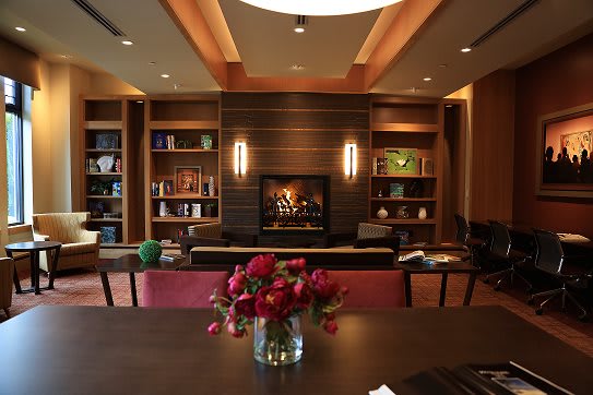 A cozy living room with a modern fireplace, surrounded by bookshelves and adorned with a vase of red flowers.