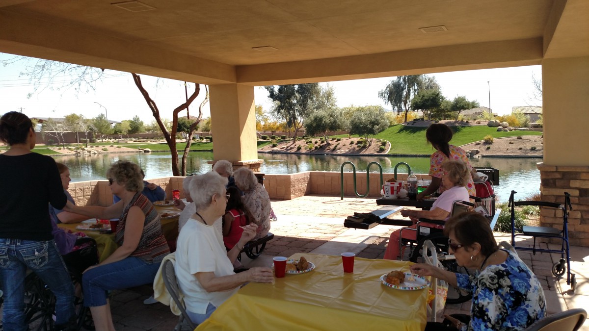 A group of seniors enjoying a picnic at a park by the lake.