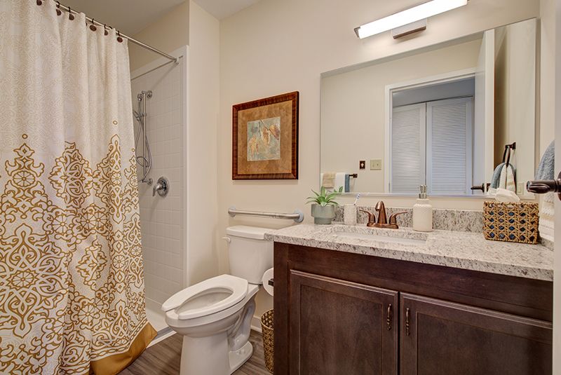 A well-organized bathroom with a modern sink, wooden cabinet, and decorative accents.