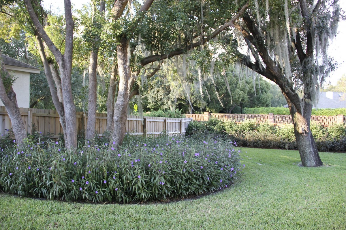 Bridgeport Senior Living LLC