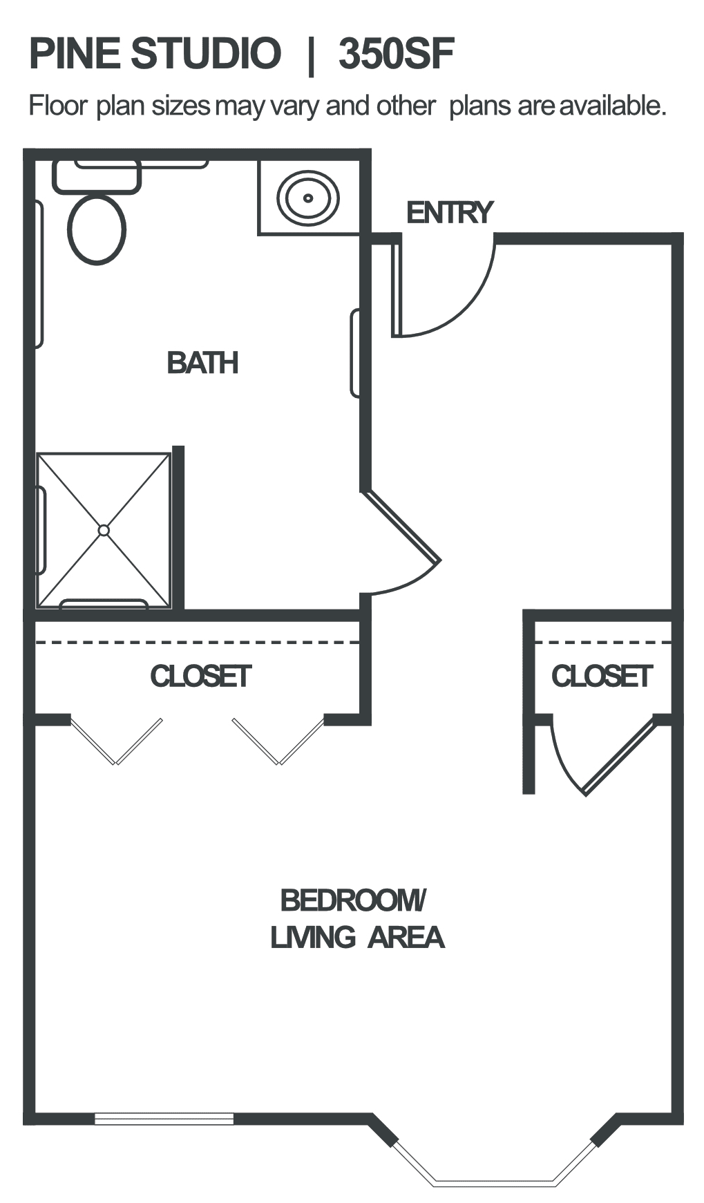 A floor plan of a studio apartment featuring a bathroom and living area with closets.