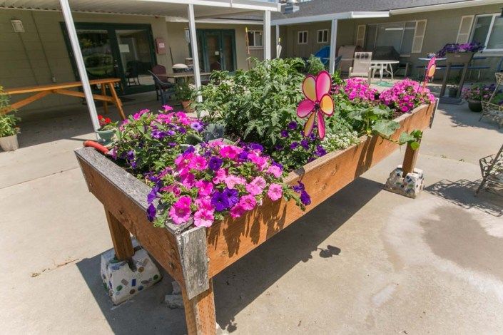 A vibrant collection of flowers in a raised garden bed on a patio.