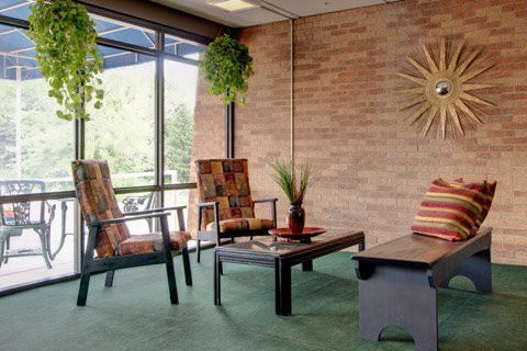 A cozy living room space with chairs, a coffee table, and hanging plants facing large windows.