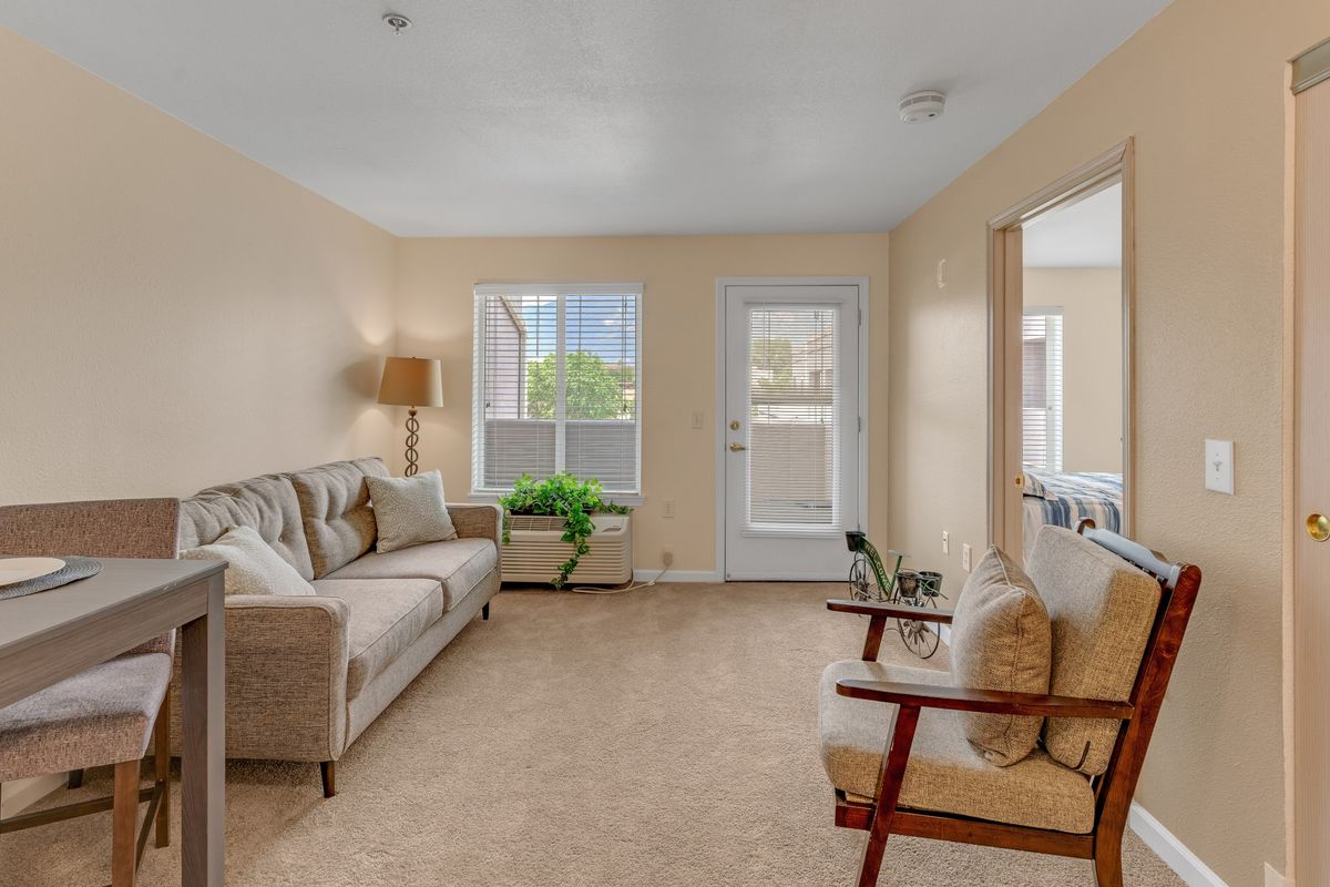A cozy living room with a comfortable sofa and armchair, complemented by a floor lamp and house plants.