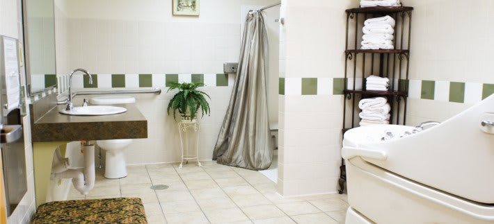 A well-designed bathroom with a shower area, decorative tiles, and a plant.