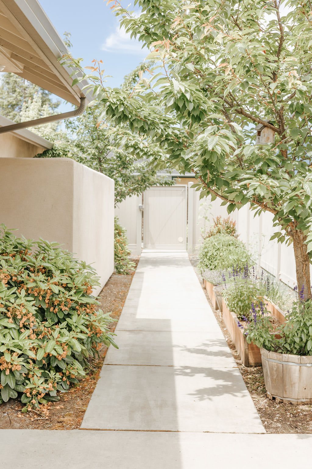 A serene garden pathway lined with lush greenery and trees.