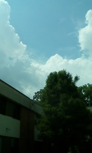 A view of a partly cloudy sky with a tree and building in the foreground.