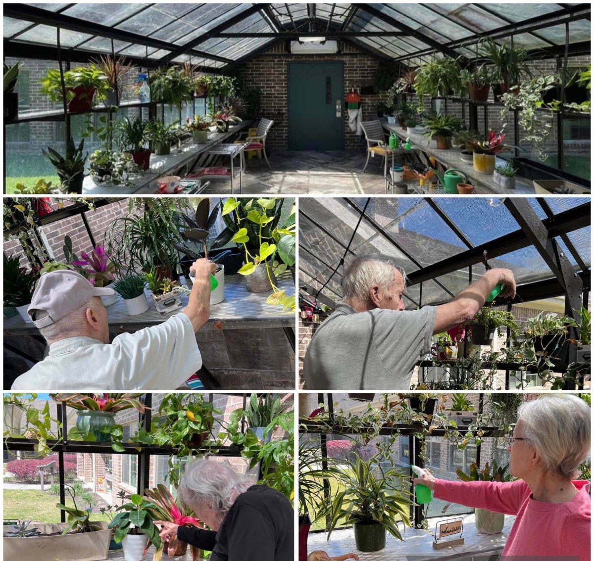 People tending to plants in a greenhouse filled with vibrant greenery and orchids.