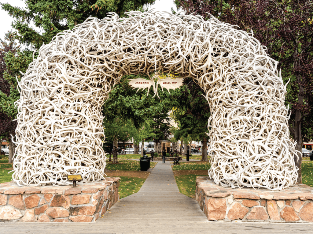 A unique archway made of antlers in a park setting.
