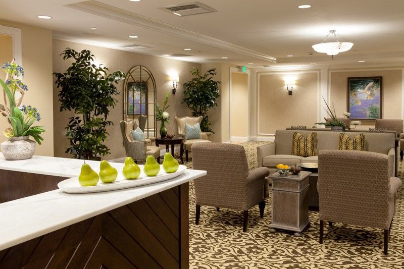 A modern lounge area with elegant decor, comfortable seating, and decorative indoor plants.