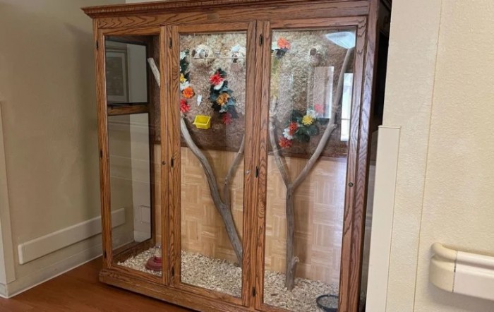 A wooden indoor birdcage housing colorful parrots on branches.