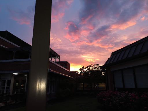 A serene sunset painted across the sky, framed by silhouettes of buildings.