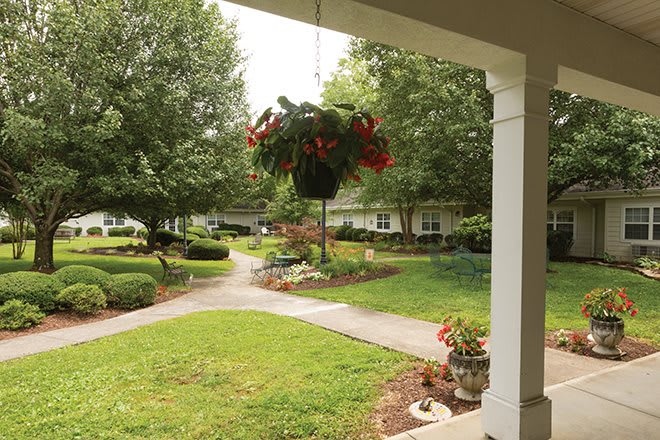 A peaceful garden view with a hanging planter and a winding pathway.