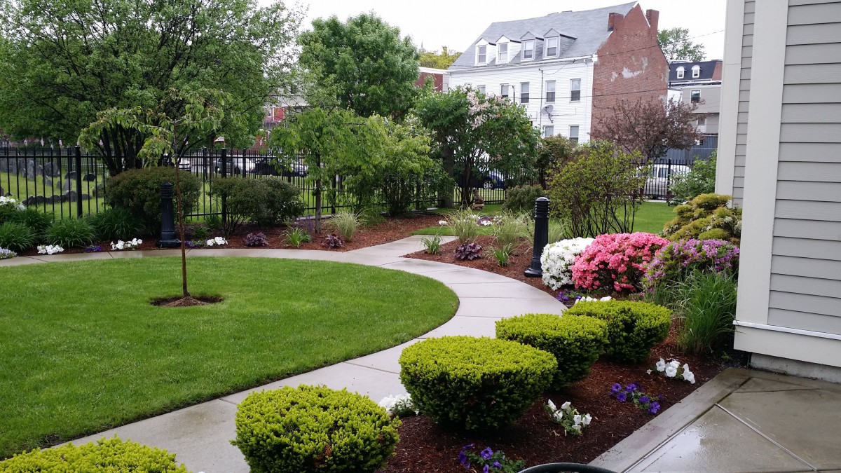 A beautifully landscaped garden with a winding pathway, surrounded by shrubs, colorful flowers, and trees in a residential area.