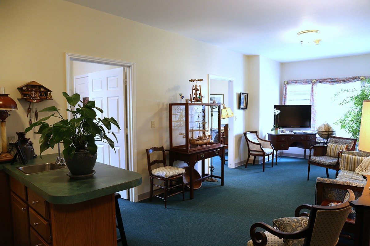 A cozy living room with elegant furniture and a houseplant, featuring a display cabinet and chairs on a soft carpet.