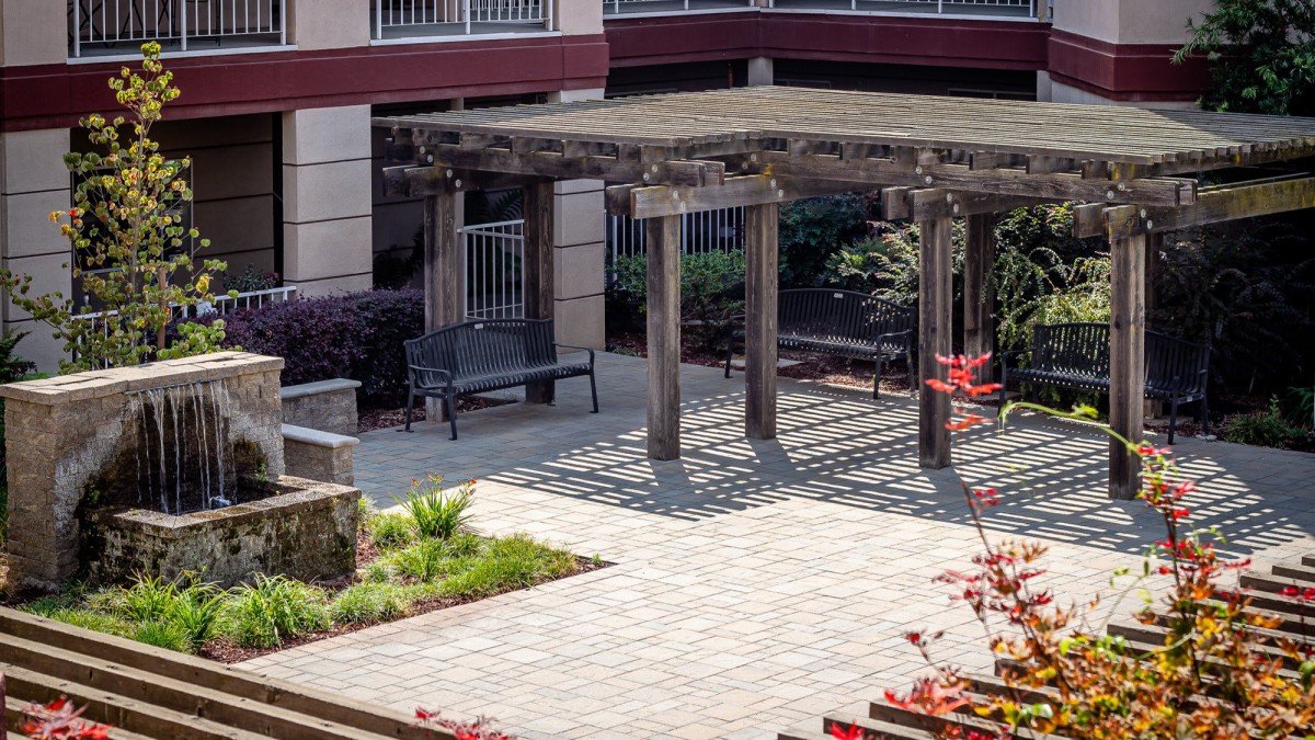 A serene courtyard featuring a wooden pergola and seating area surrounded by lush landscaping.