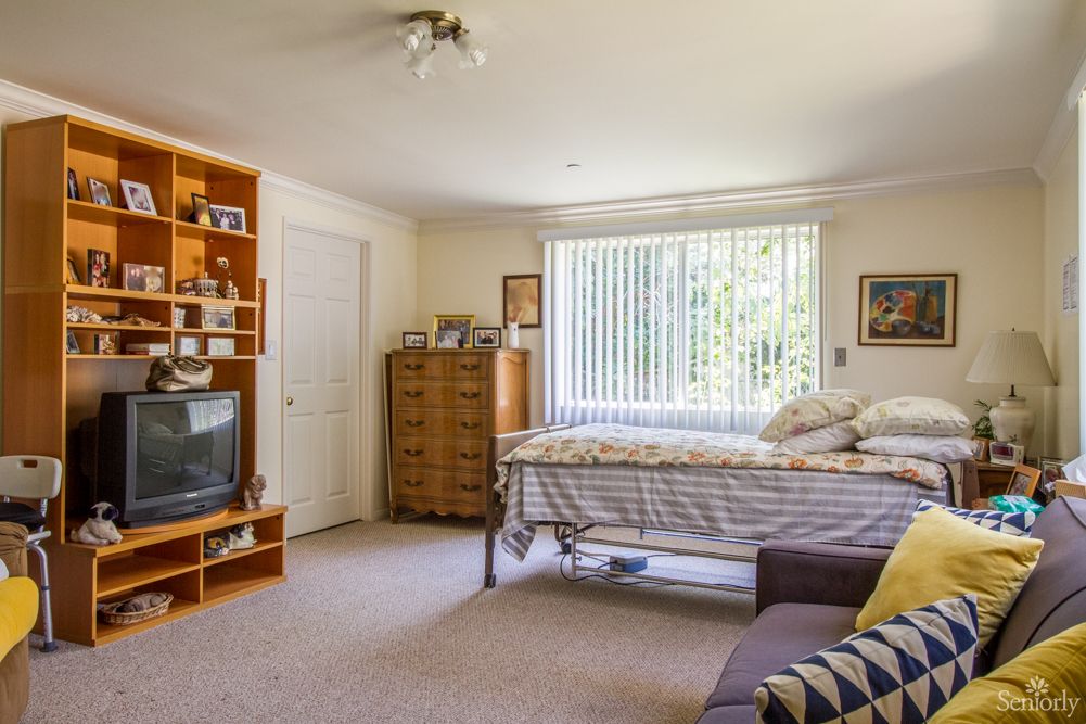 A cozy bedroom with a bed, dresser, television, and shelves on a sunny day.