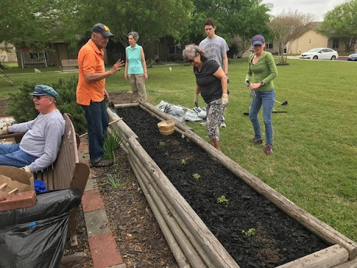 A group of people engaged in gardening and planting in a vegetable garden.