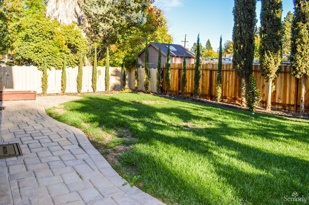 A sunny backyard with a well-maintained lawn, surrounded by trees and a wooden fence.