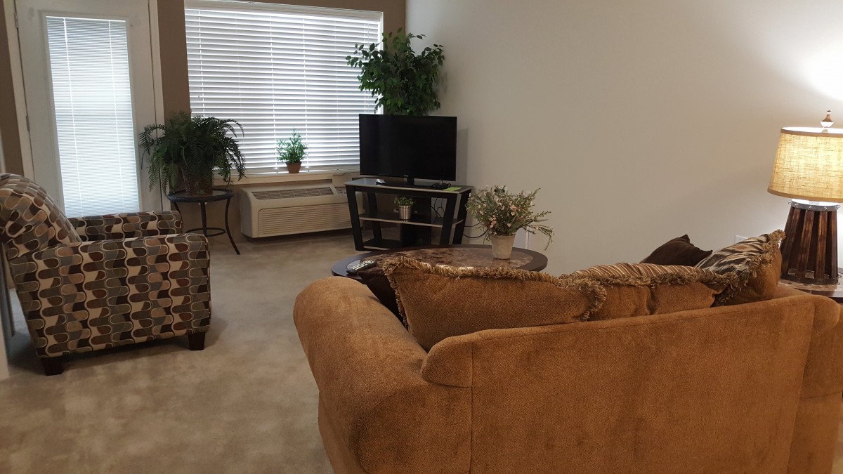 A cozy living room with a sofa, television, and indoor plants.