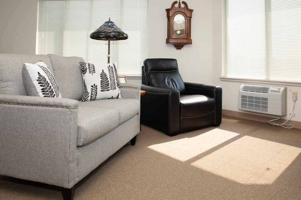 A cozy living room setup with a gray sofa and a black armchair.