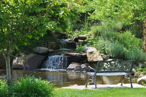 A serene garden scene featuring a tranquil waterfall and a bench by the water.