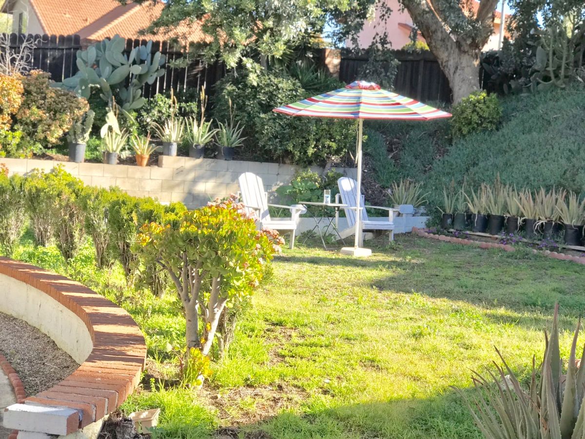 A sunny garden with a lawn, an umbrella, and chairs.
