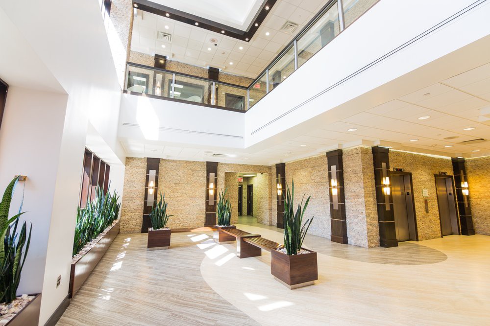 A modern lobby with natural lighting and minimalist design features, including indoor plants and stylish light fixtures.