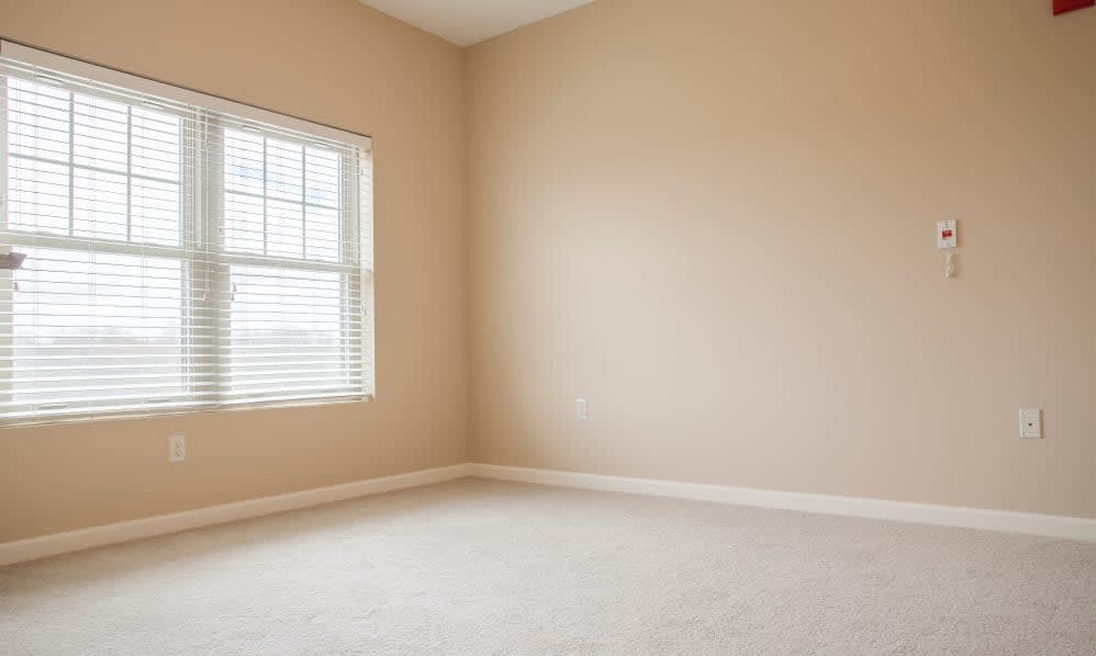 A minimal empty room with beige walls, a carpeted floor, and a window allowing natural light.
