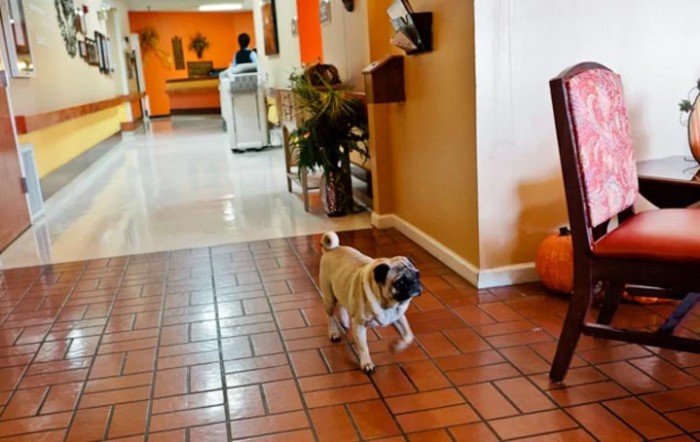 River Ridge Rehabilitation And Care Center