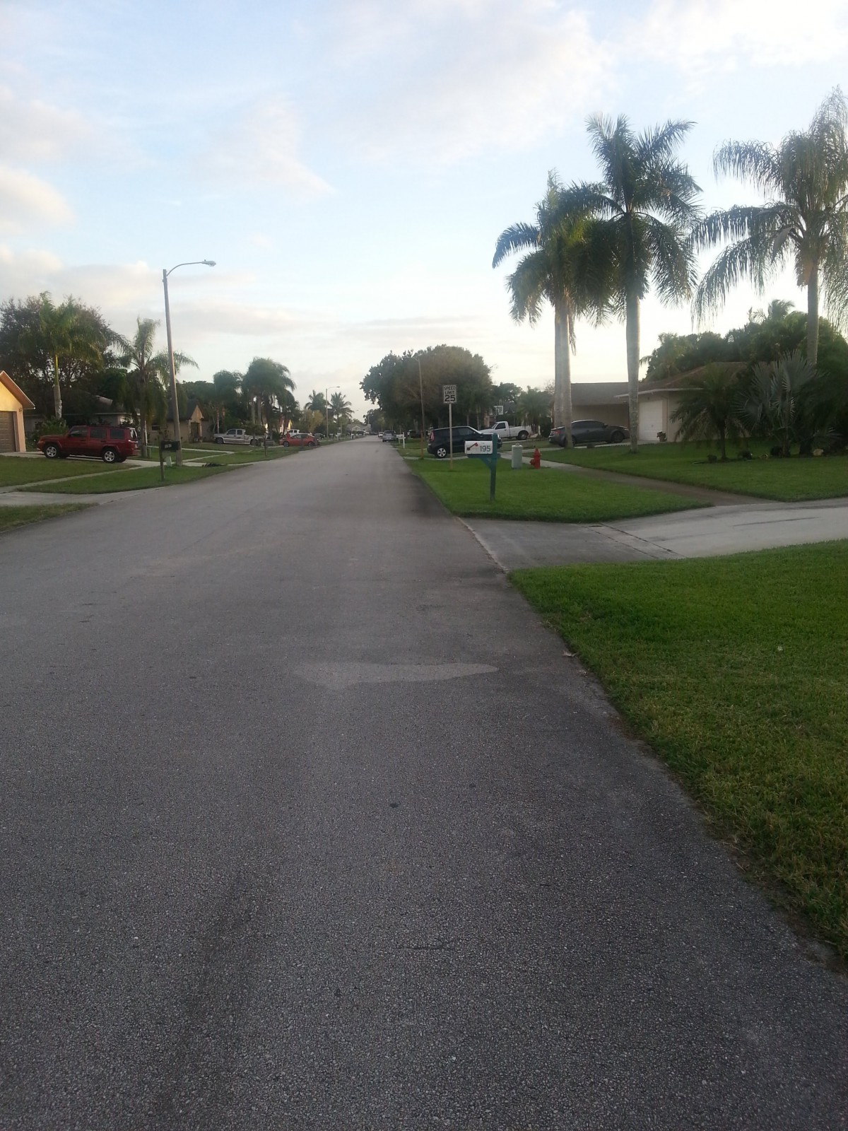 A quiet suburban street lined with palm trees and houses.