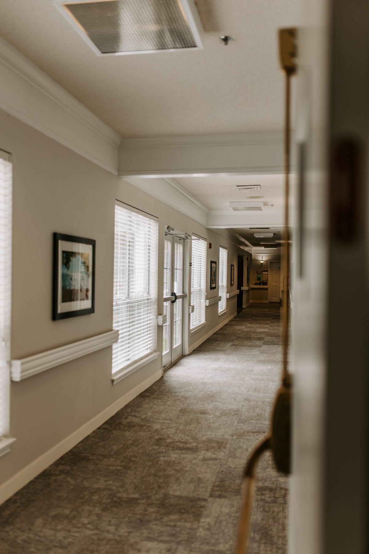 A quiet, well-lit hallway with artwork and windows along one side.