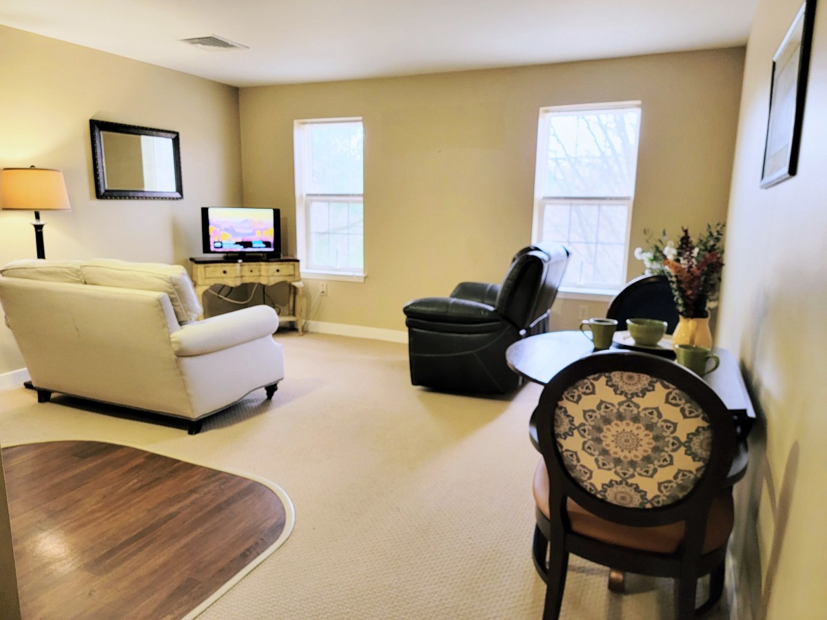 A cozy living room featuring a sofa, chair, TV, and decorative elements.