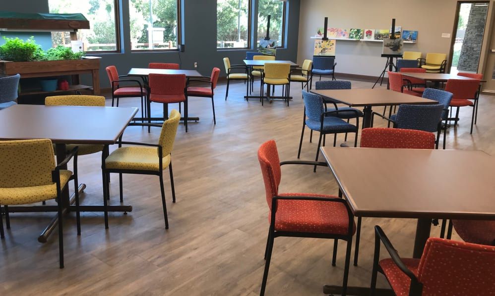 An empty cafeteria with colorful chairs and wooden flooring.