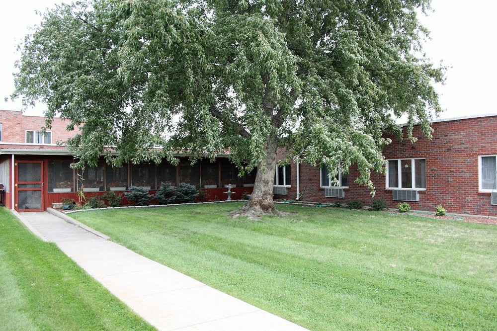 A well-maintained lawn and sidewalk in front of a brick building with a large tree.
