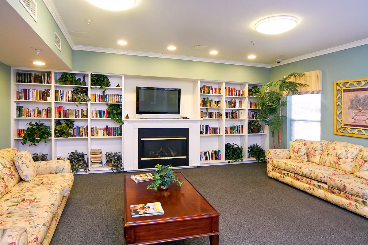 A cozy living room with bookshelves, a fireplace, and a television.