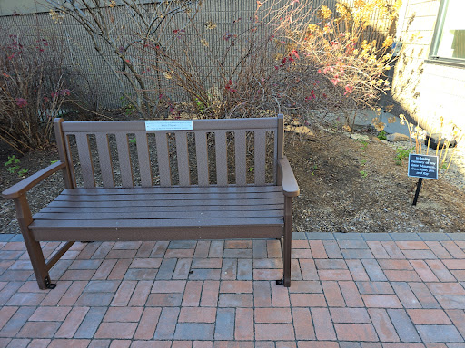 A wooden bench in a tranquil outdoor setting, surrounded by nature.
