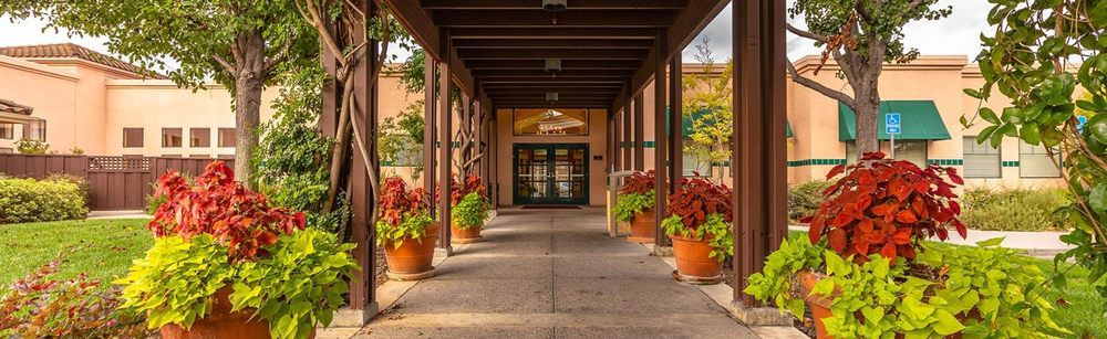 An inviting entrance with potted plants lining the walkway.