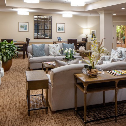 A cozy and inviting living room space with comfortable seating and decorative plants.