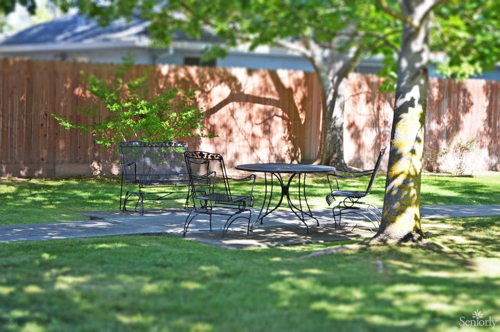 A tranquil garden scene with a metal table and chairs under the shade of trees on a sunny day.