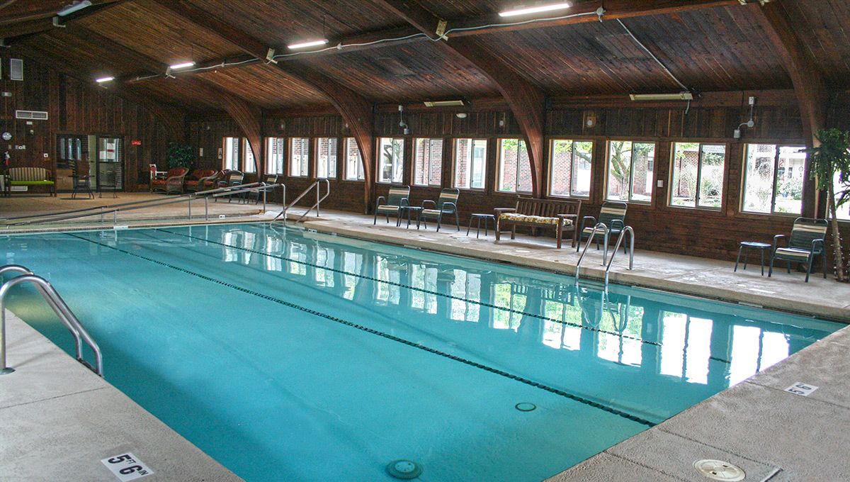 An indoor swimming pool with large windows and wooden roof beams.