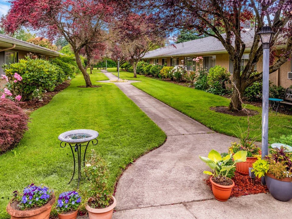 A beautifully landscaped garden with a winding pathway, vibrant flowers, and lush greenery.